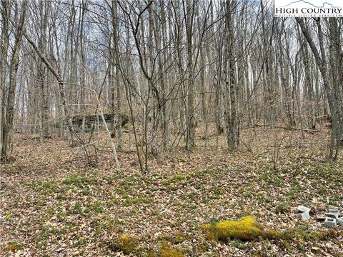 Photo of 215 Wild Daisy Lane, Beech Mountain, NC 28604 (MLS # 253630)