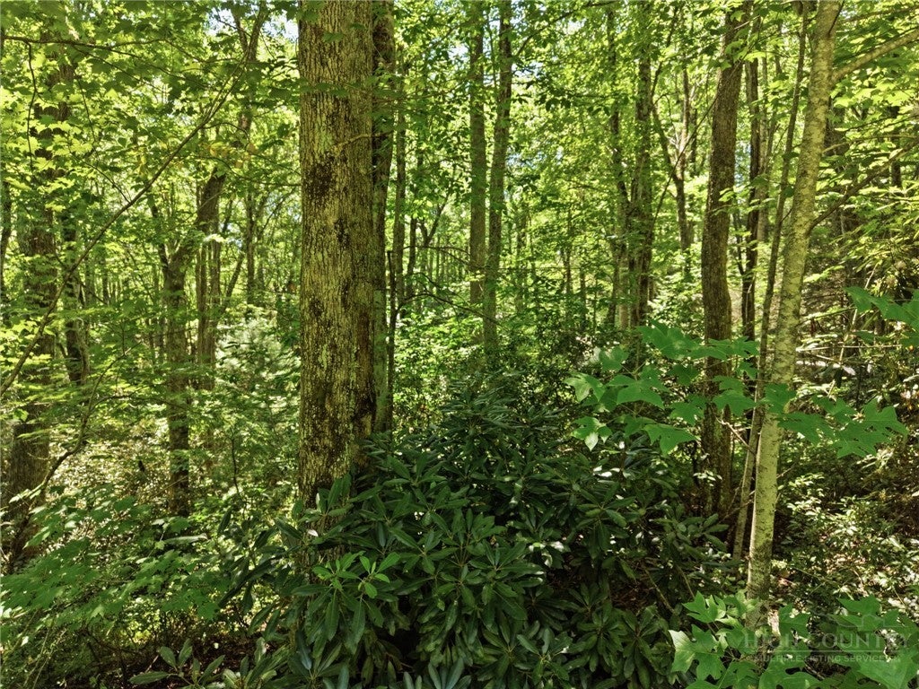 Lot 29 Chickasaw Trail