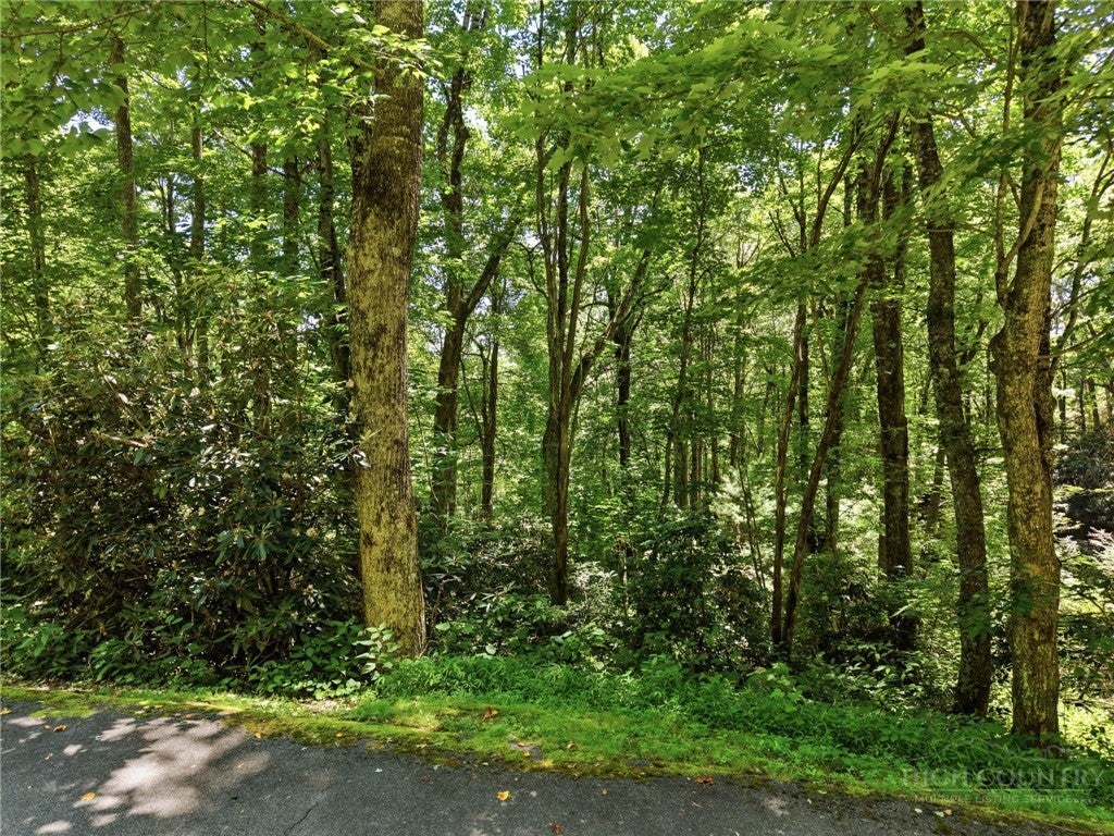 Lot 29 Chickasaw Trail
