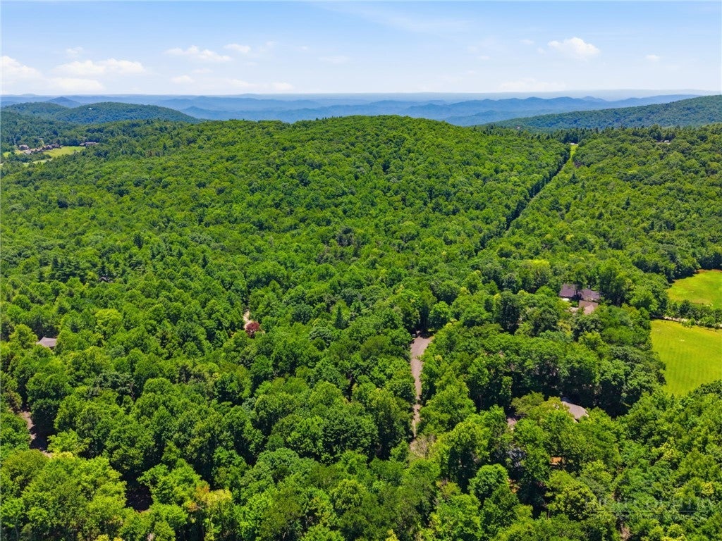 Lot 29 Chickasaw Trail