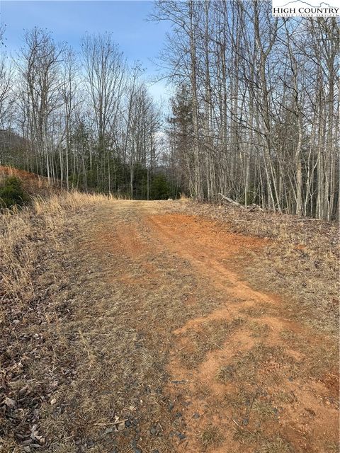 Photo of 0 White Fawn Drive, Spruce Pine, NC 28777 (MLS # 260164)