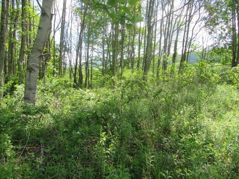 Photo of 805 Ed Little Road, Warrensville, NC 28693 (MLS # 261948)