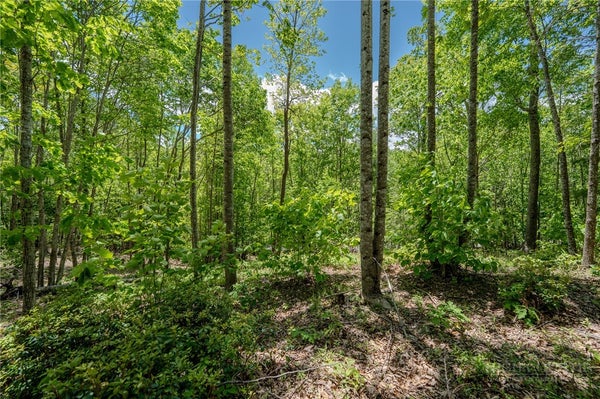 0 BEAVER DAM ROAD, ELK PARK, NC 28622 - Image 8f8d3c77fa6c83e2e39e34f268b34904/3087748875