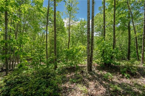 Photo of 0 Beaver Dam Road, Elk Park, NC 28622 (MLS # 261551)