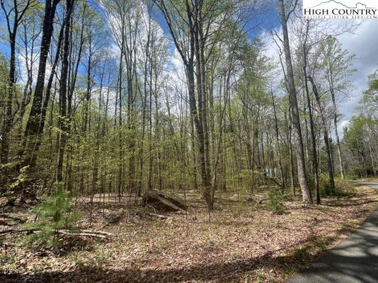 111 SONTERRA HTS, LANSING, NC 28643 - Image 8fdf8d897100b3d790ff4b274d67e35a/4020371112