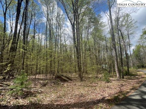 Photo of Lot 45 Sonterra Drive, Lansing, NC 28643 (MLS # 260688)