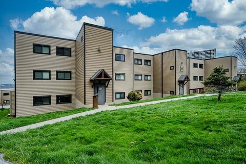 Photo of 103 Sugar Ski Drive #333, Sugar Mountain, NC 28604 (MLS # 261480)