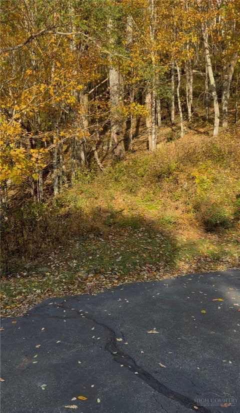 Photo of 19 Wakeman Way, Banner Elk, NC 28604 (MLS # 264962)