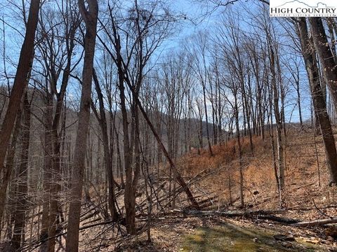 Photo of Lot 73 Carefree Cove Road, Zionville, NC 28698 (MLS # 239835)