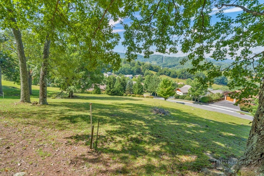 Lot 52 Supreme Golden Road