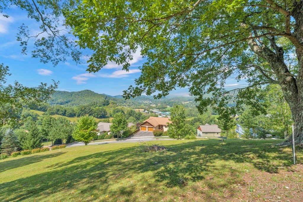 Lot 52 Supreme Golden Road