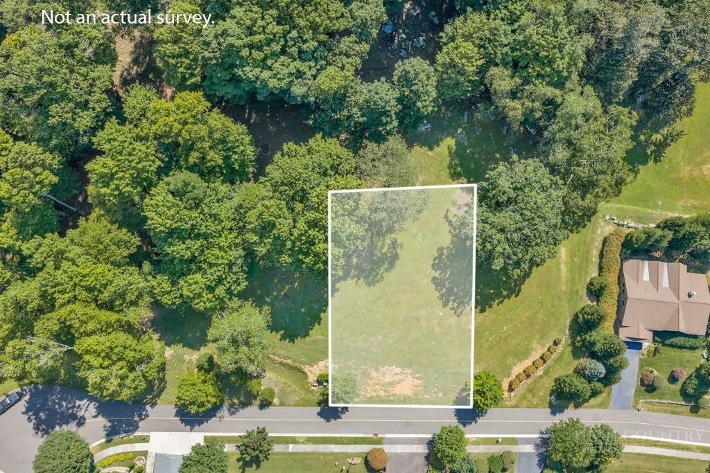 Lot 52 Supreme Golden Road