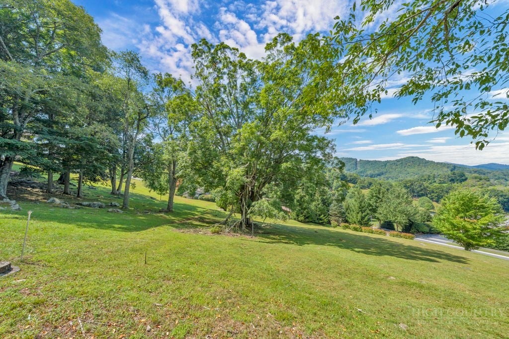 Lot 52 Supreme Golden Road