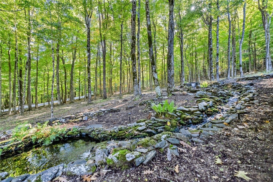 632 Big Tree Road