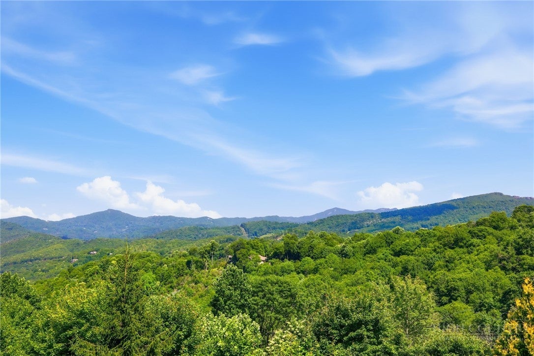 224 Chestnut Trail