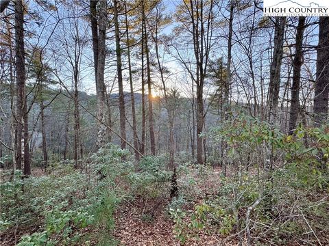 Photo of TBD Roaring Ridge Road, Deep Gap, NC 28618 (MLS # 253532)