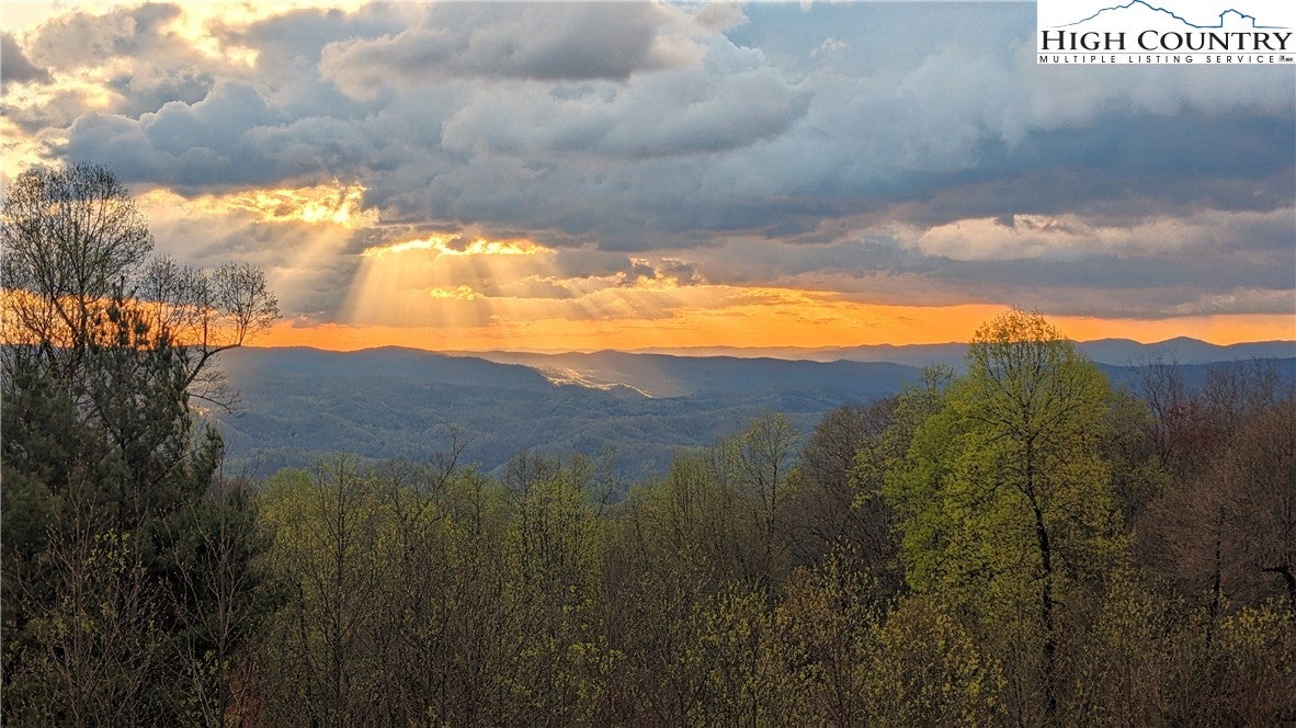 137 Burningbush Trail