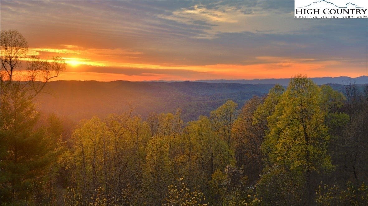 137 Burningbush Trail