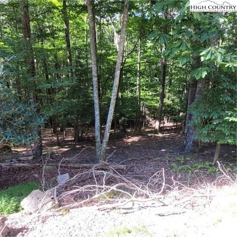 Photo of 201 Jackpine Road, Beech Mountain, NC 28604 (MLS # 257816)