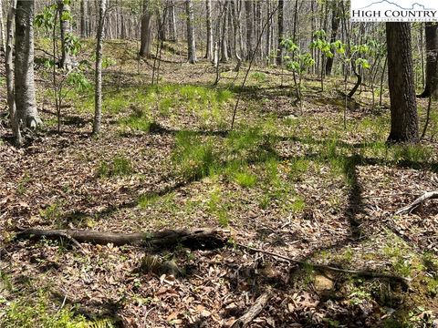 Photo of TBD Walnut Lane, Vilas, NC 26692 (MLS # 249249)