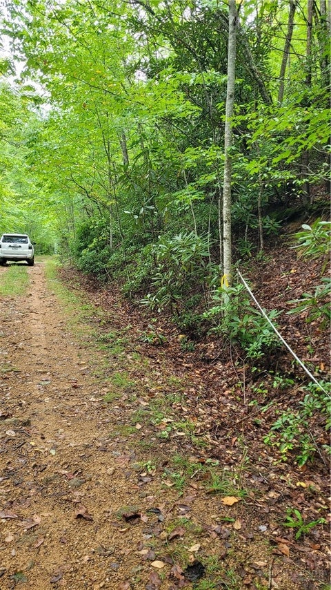Photo of xx Gumtree Road, Beech Mountain, NC 28604 (MLS # 264494)