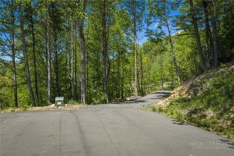 Photo of 158 Spring Rock Trail, Spruce Pine, NC 28777 (MLS # 262104)