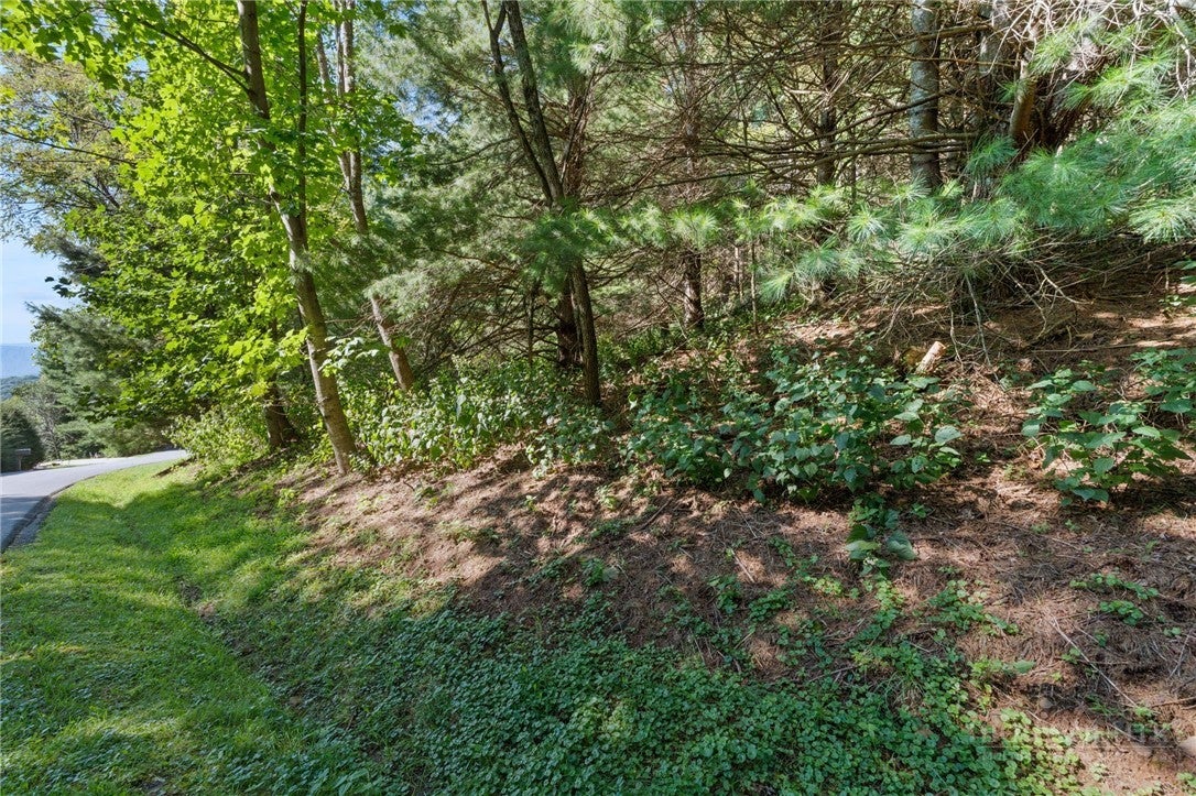 TBD Denise Drive