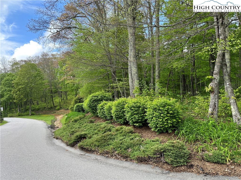 Banner Elk, North Carolina 28604, United States, ,Commercial,Active,72445