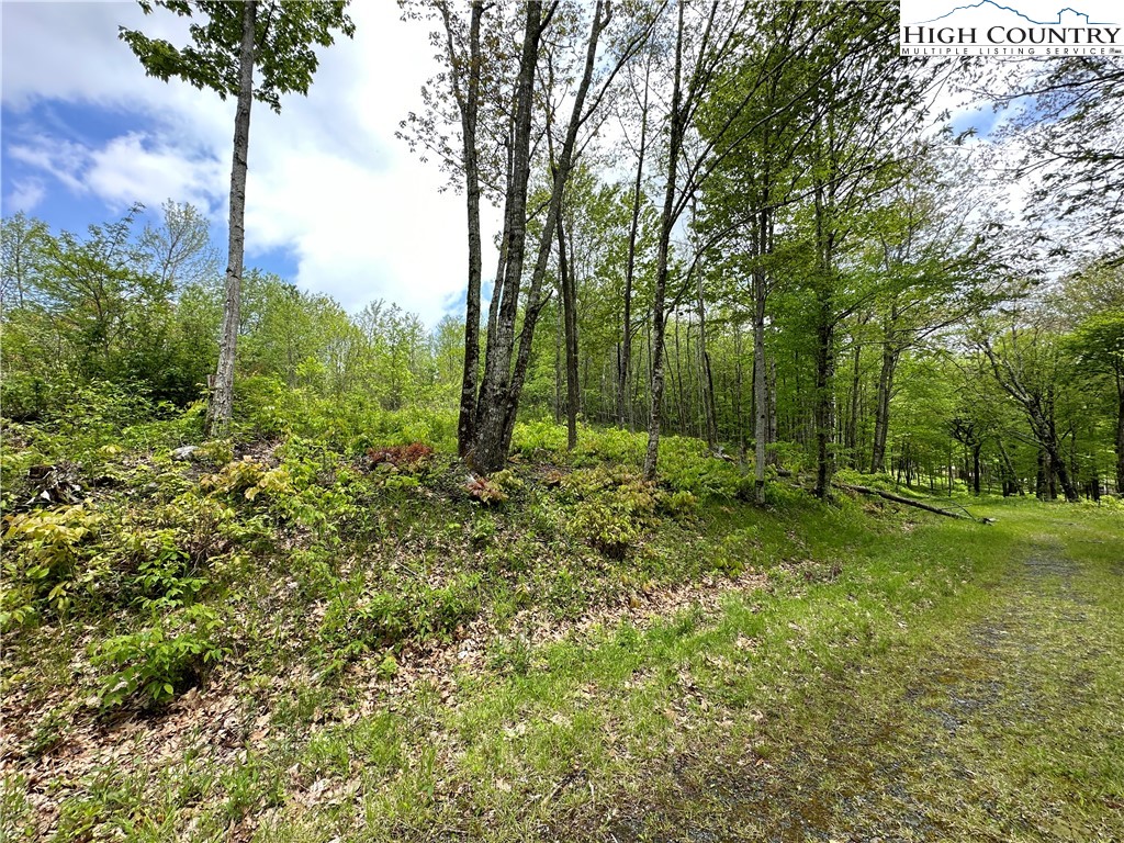 Banner Elk, North Carolina 28604, United States, ,Commercial,Active,72445