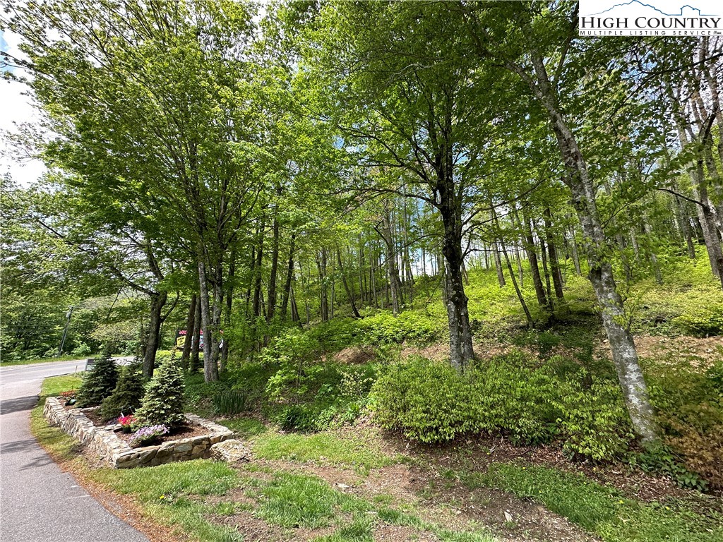 Banner Elk, North Carolina 28604, United States, ,Commercial,Active,72445