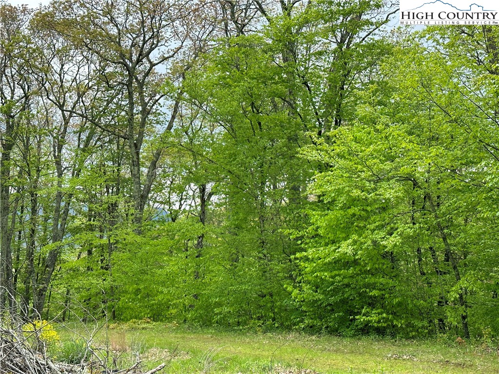 Banner Elk, North Carolina 28604, United States, ,Commercial,Active,72445