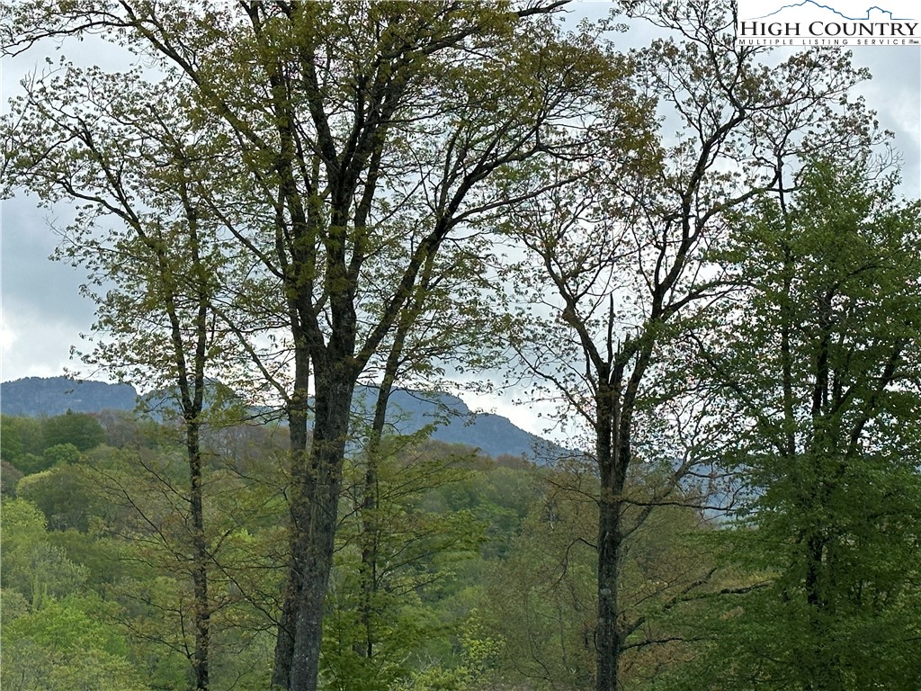 Banner Elk, North Carolina 28604, United States, ,Commercial,Active,72445