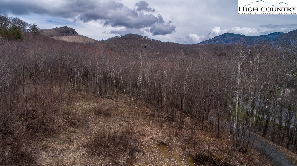 Banner Elk, North Carolina 28604, United States, ,Commercial,Active,72445