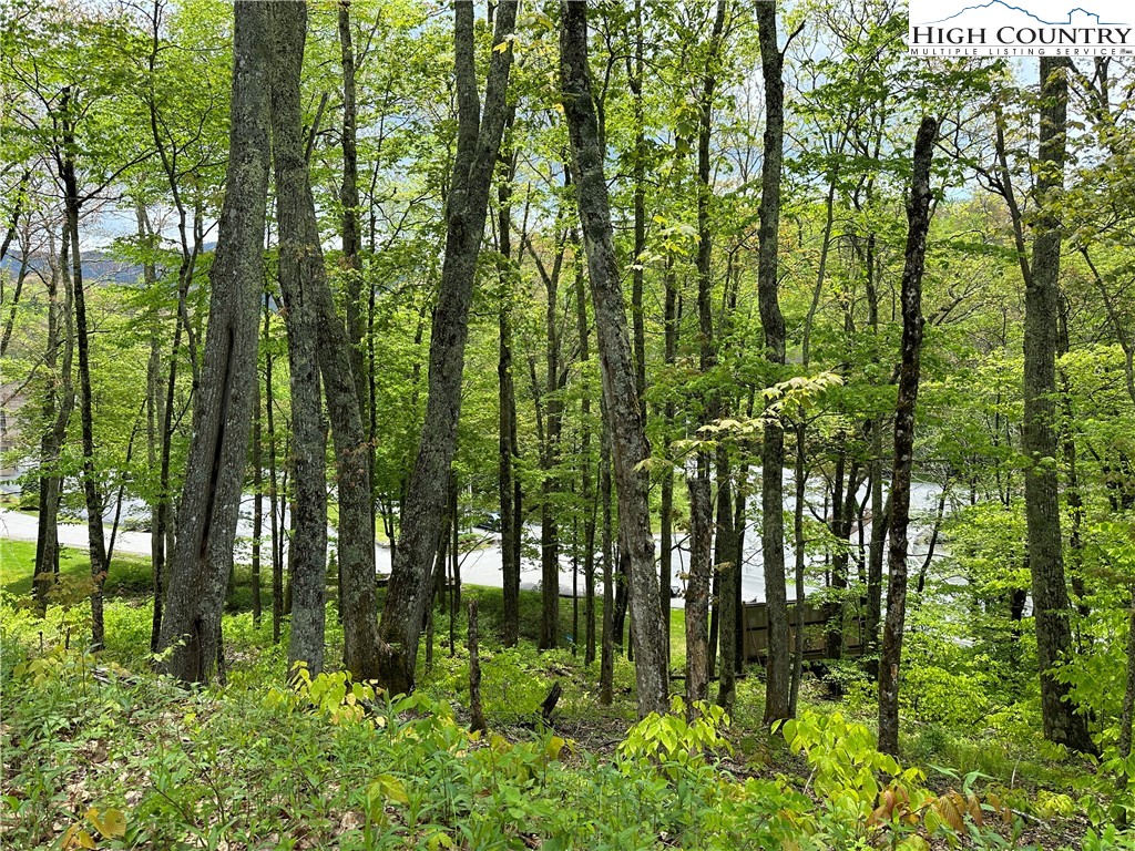 Banner Elk, North Carolina 28604, United States, ,Commercial,Active,72445