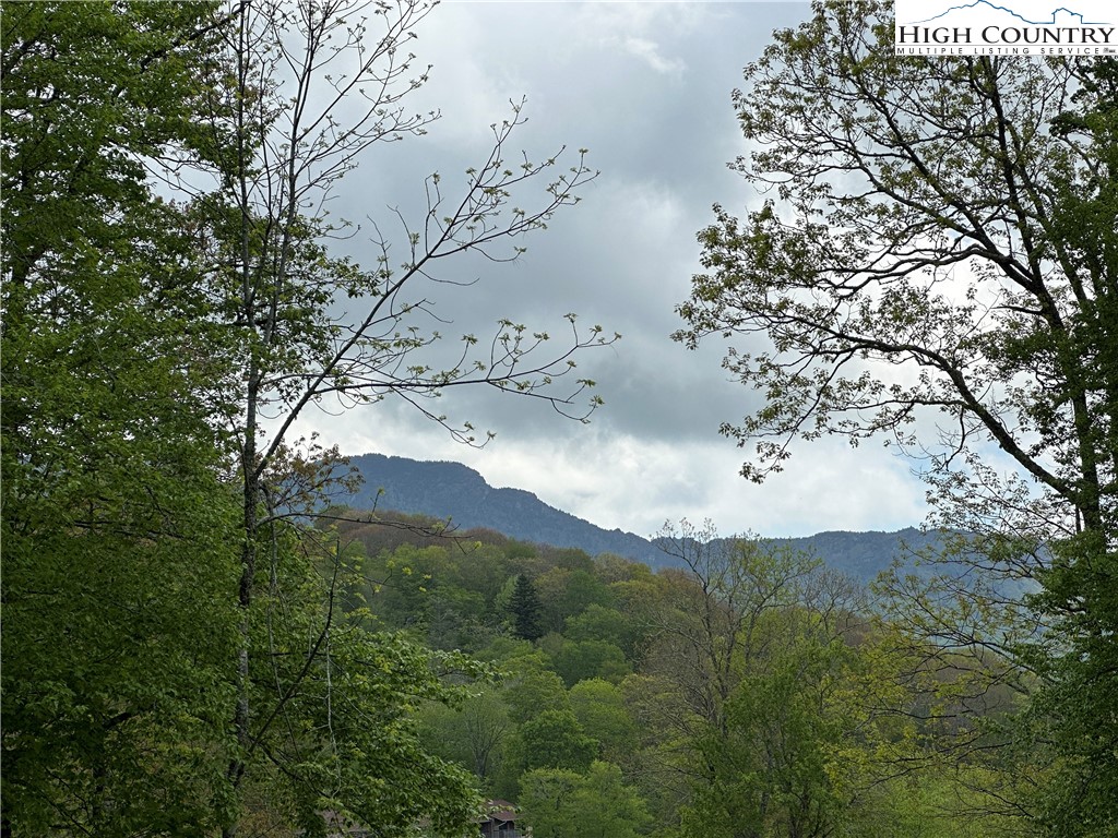 Banner Elk, North Carolina 28604, United States, ,Commercial,Active,72445