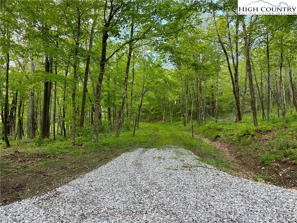 Banner Elk, North Carolina 28604, United States, ,Commercial,Active,72445