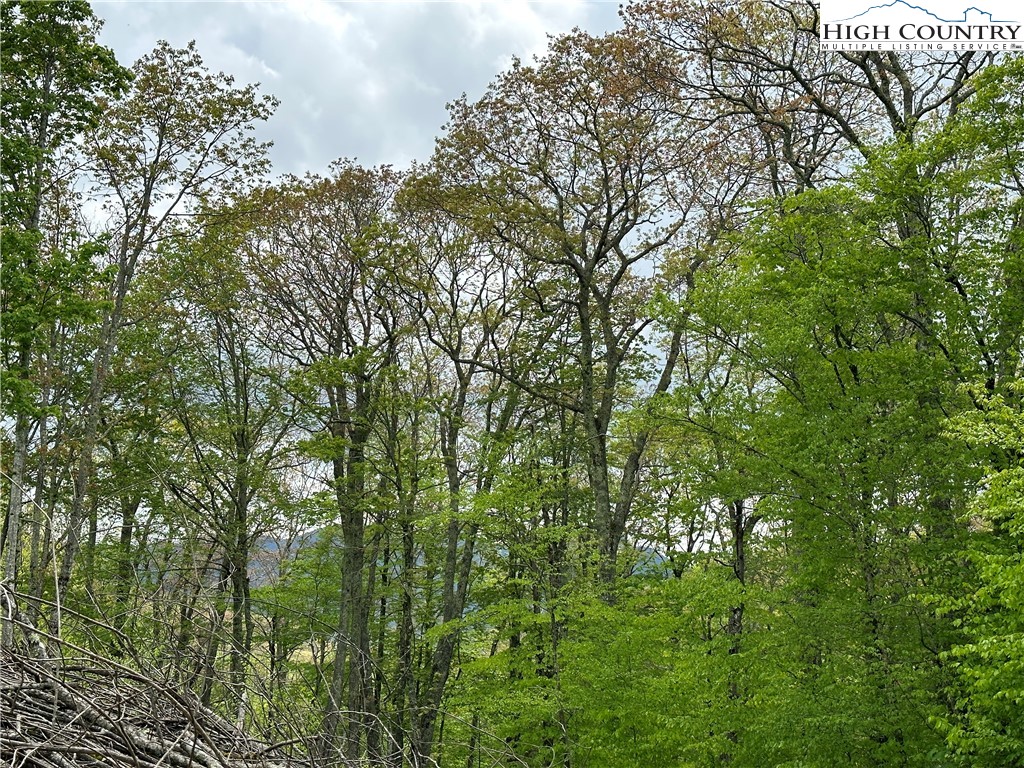 Banner Elk, North Carolina 28604, United States, ,Commercial,Active,72445