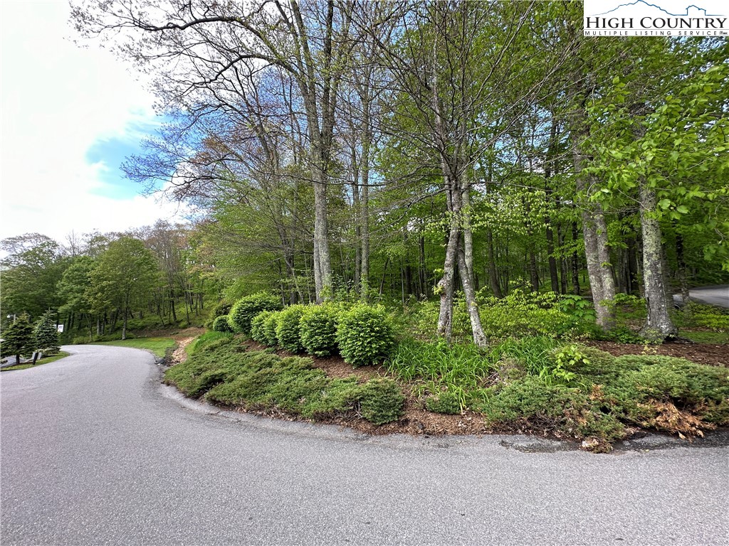 Banner Elk, North Carolina 28604, United States, ,Commercial,Active,72445