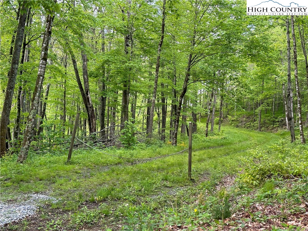 Banner Elk, North Carolina 28604, United States, ,Commercial,Active,72445