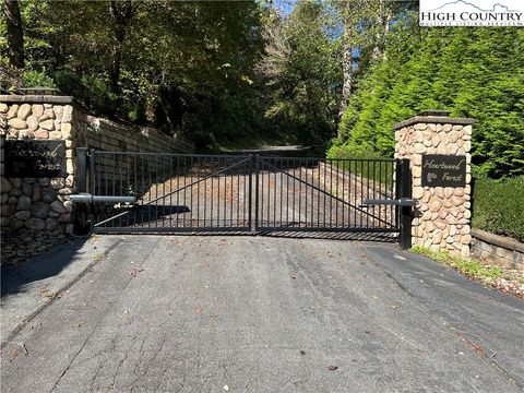 Photo of Lot 20 Black Hill Drive, Collettsville, NC 28611 (MLS # 258549)