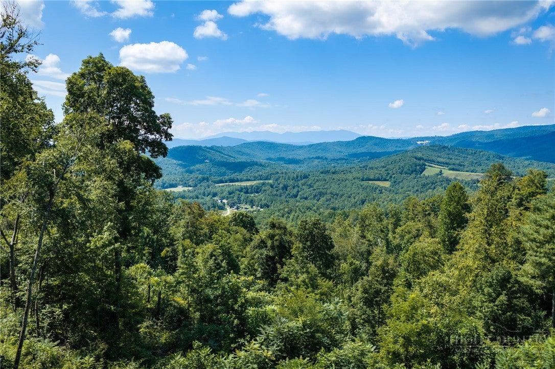 TBD (Lot 40) Mount Mitchell Overlook