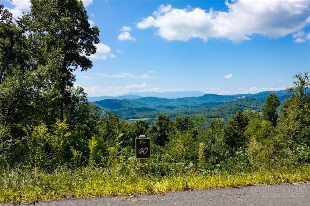 TBD (Lot 40) Mount Mitchell Overlook
