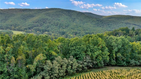 Photo of TBD 66A Low Gap, Troutdale, VA 24378 (MLS # 264809)