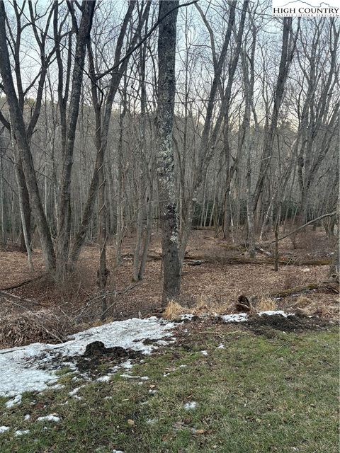 Photo of TBD 3-D Silo Road, Sparta, NC 28675 (MLS # 260024)