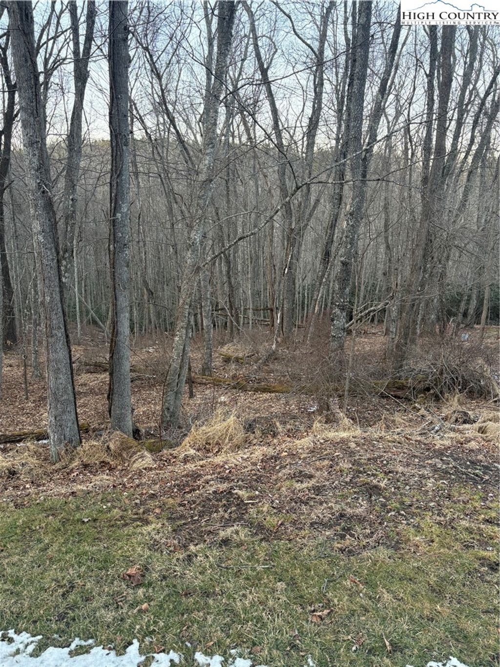 Photo of TBD 3-D Silo Road, Sparta, NC 28675 (MLS # 260024)