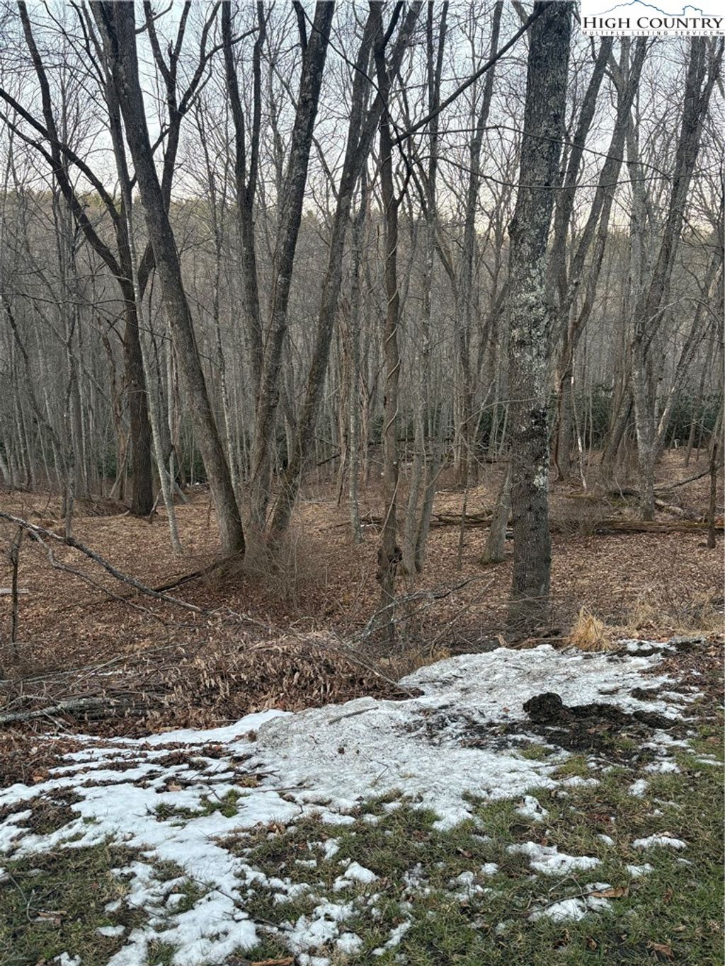 Photo of TBD 3-D Silo Road, Sparta, NC 28675 (MLS # 260024)