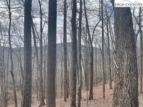 Photo of 3 Jackson Ridge Road, Boone, NC 28607 (MLS # 259609)