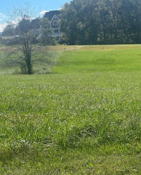 Photo of Lot 205 Canterbury Drive, North Wilkesboro, NC 28659 (MLS # 265078)