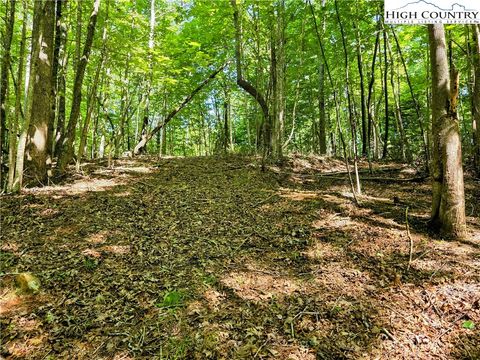Photo of Lot 2B Brightwood Trail, Deep Gap, NC 28618 (MLS # 255914)
