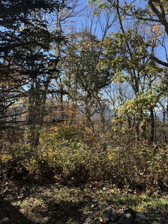 Lot #44 Summit Trail